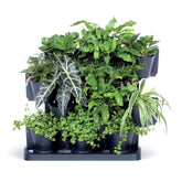 Hectarul - Set 12 ghivece decorative de flori, modular, antracit, 12x0.75 L, 67x17.7x57 cm, Cascade Wall